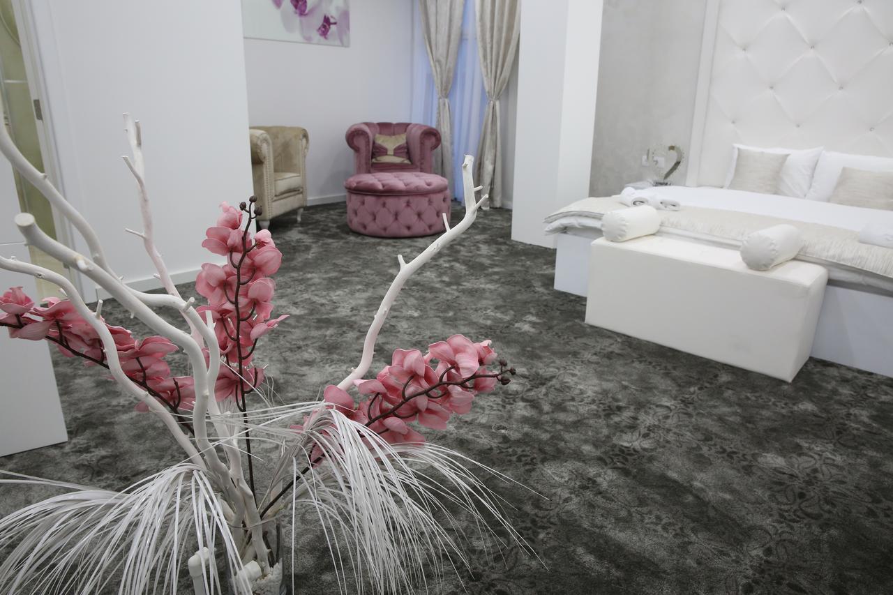 לינה וארוחת בוקר סטארה פאזובה Sunny Hill Garden מראה חיצוני תמונה